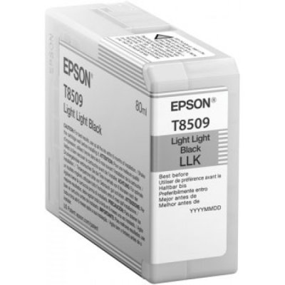 Epson cartuccia originale Nero Light Light T8509 (C13T850900)