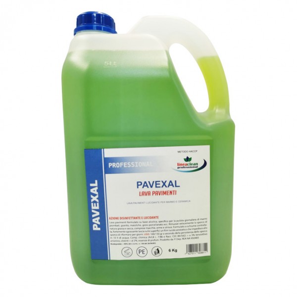 CLEAN PROFESSIONAL detergente per pavimenti disinfettante con base alcool per MAIOLICHE, MARMO PIOMBATO, COTTO, GRES PORCELLANATO, PIETRE